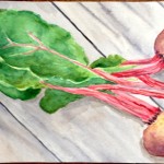 Watercolor of red beets