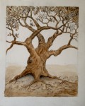Bare oak tree painted with coffee.