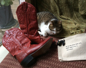 Red cowboy boots with curious cat
